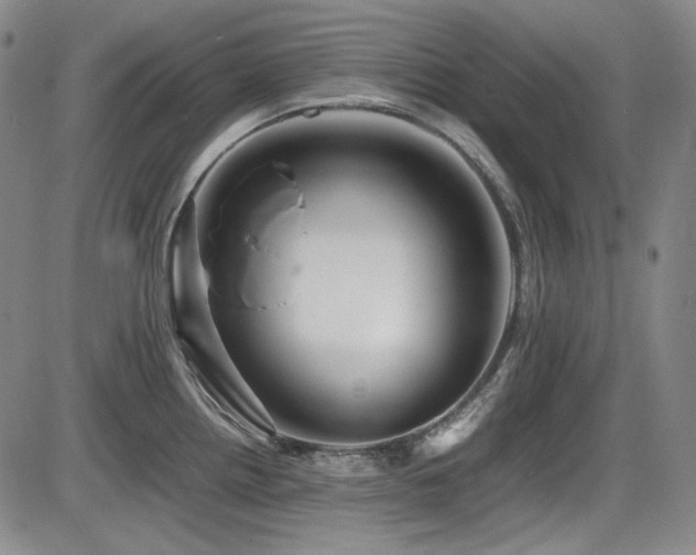 X0000086281242200703291453