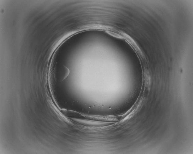 X0000086281244200703291453