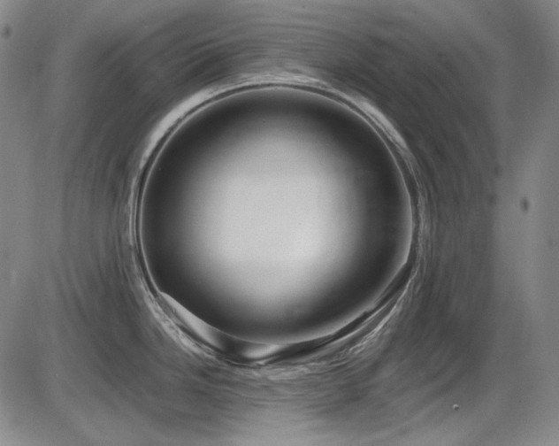 X0000086281246200703291453