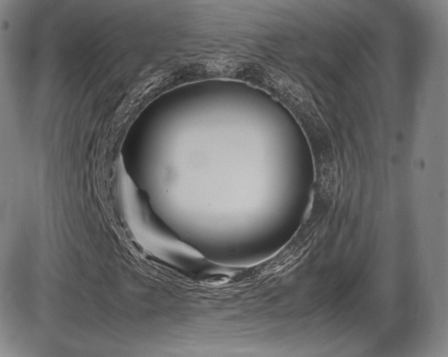 X0000086281249200703291452