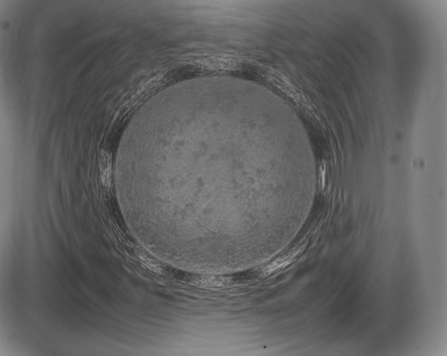 X0000086281251200703291452