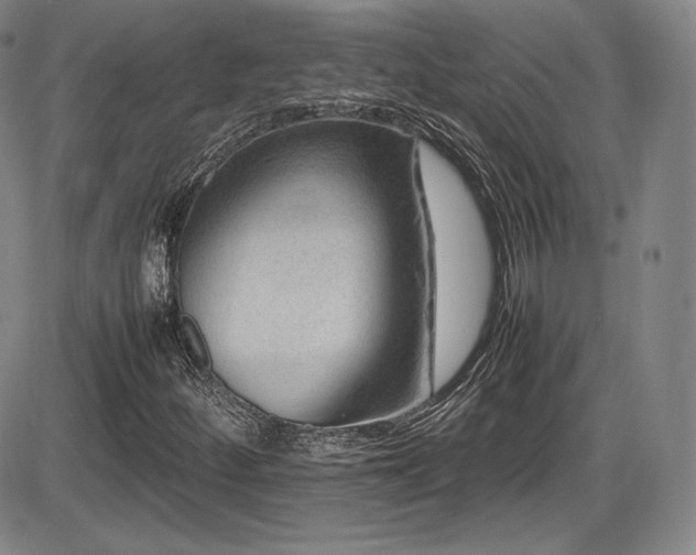 X0000086281252200703291452