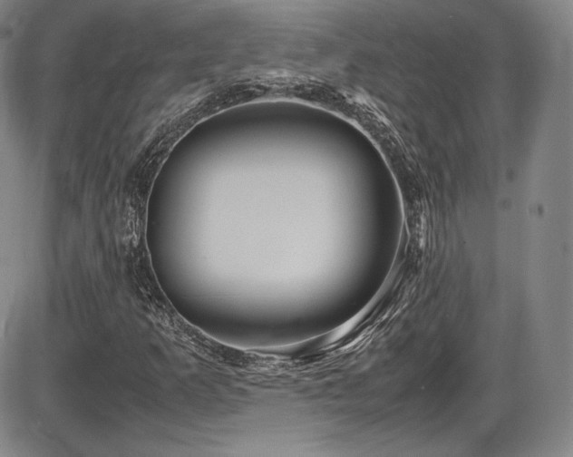 X0000086281253200703291452