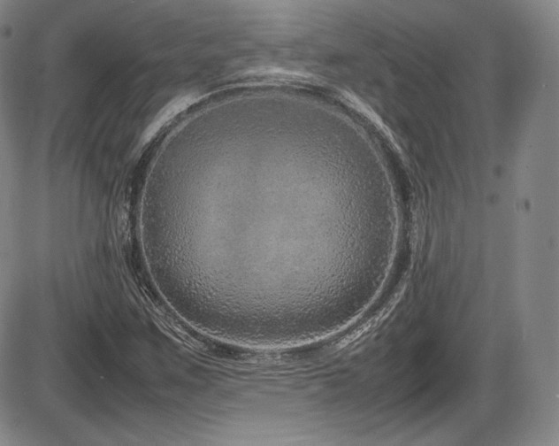 X0000086281259200703291452