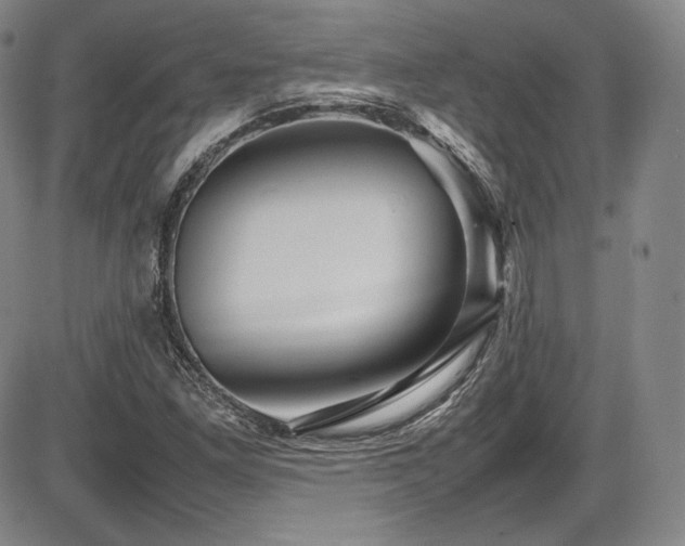 X0000086281261200703291452
