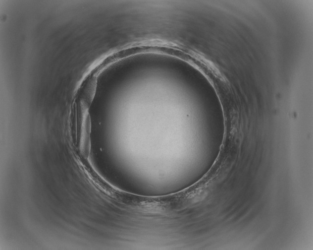 X0000086281264200703291452
