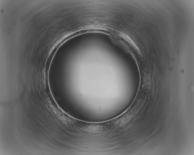 X0000086281268200703291452