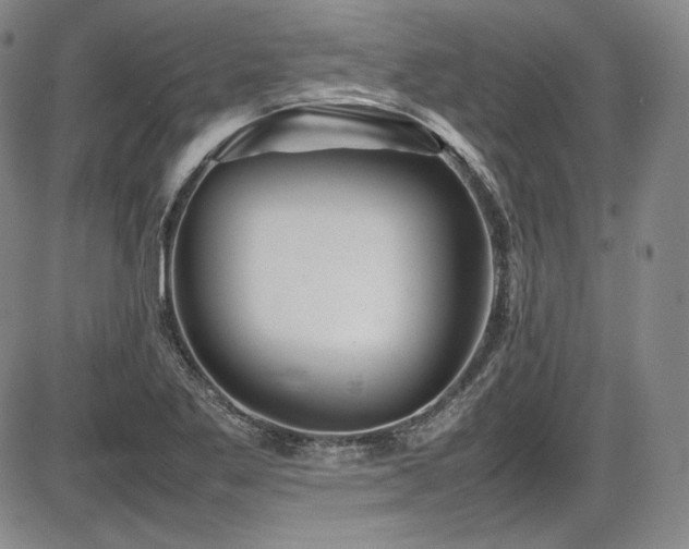 X0000086281269200703291452