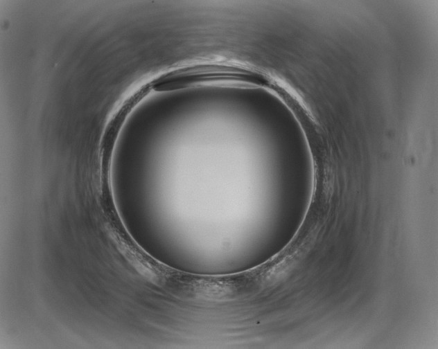 X0000086281270200703291452