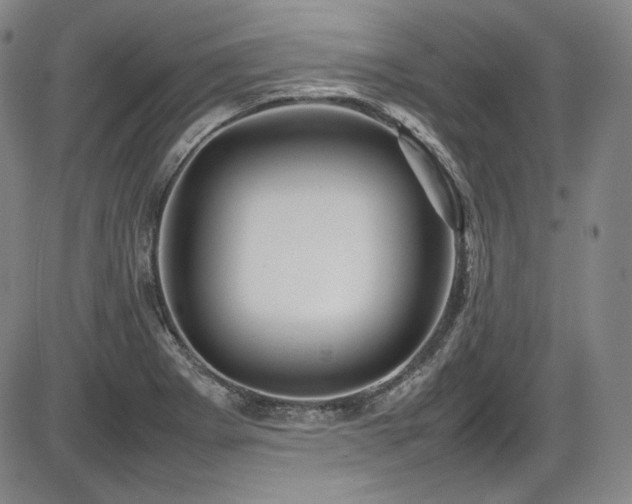 X0000086281273200703291452