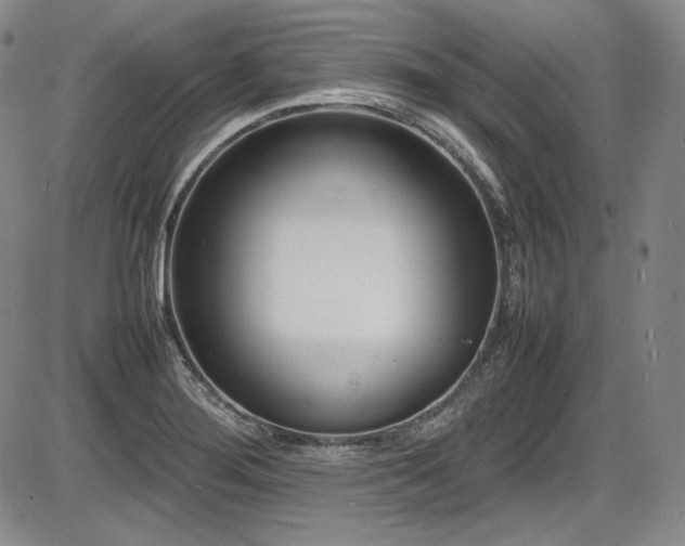 X0000086281276200703291452