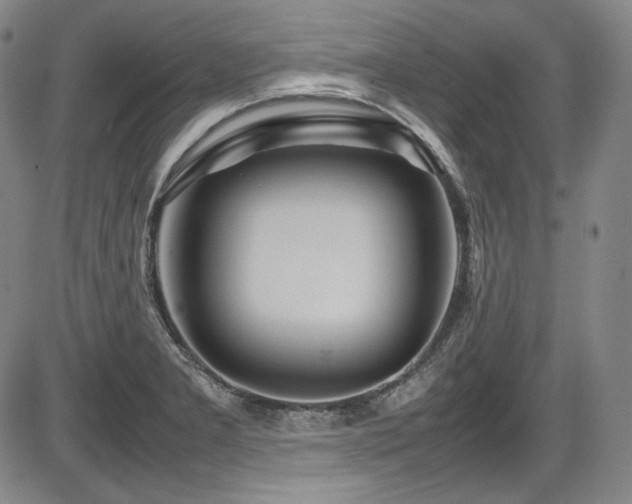 X0000086281277200703291452