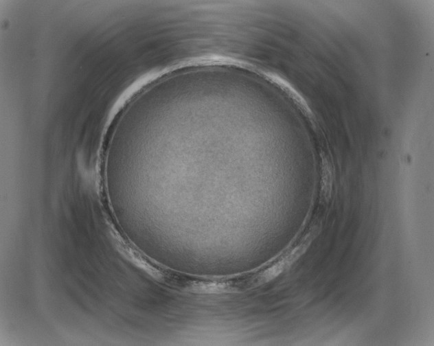 X0000086281278200703291452
