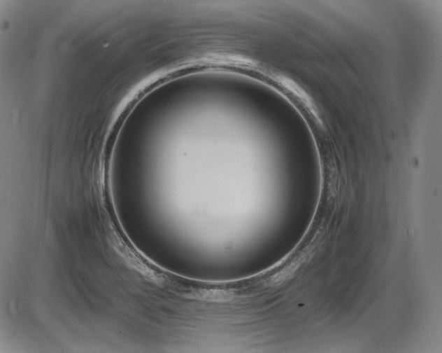 X0000086281280200703291452