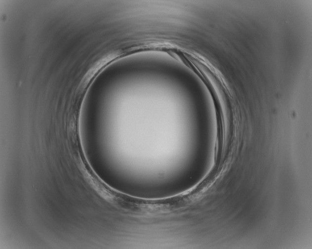 X0000086281281200703291452