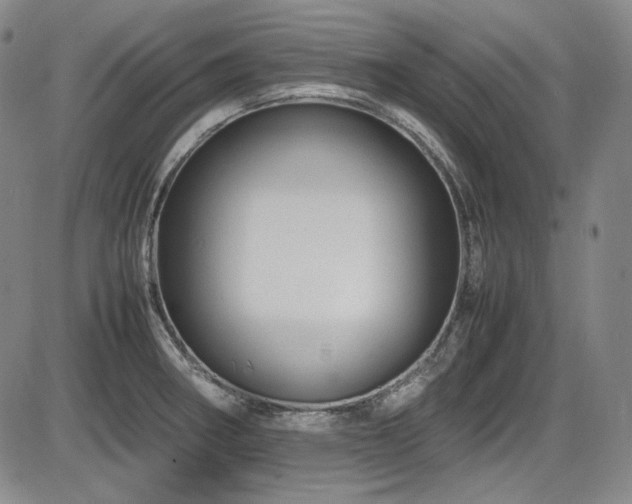 X0000086281282200703291452
