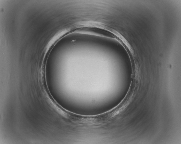 X0000086281285200703291452