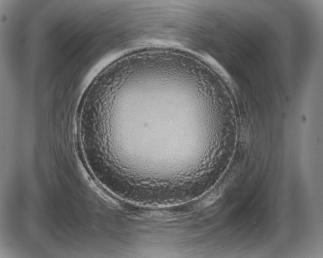X0000086281287200703291452