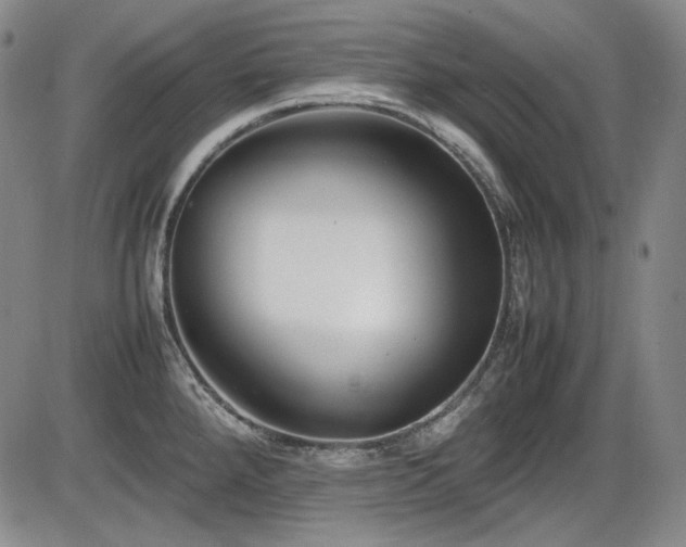X0000086281288200703291452