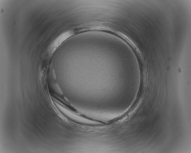 X0000086281289200703291452
