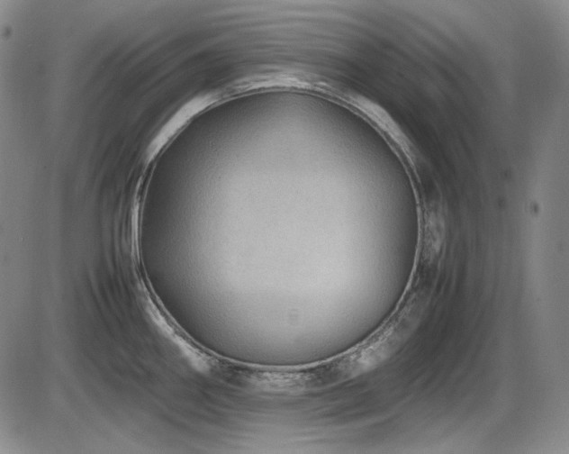 X0000086281290200703291451