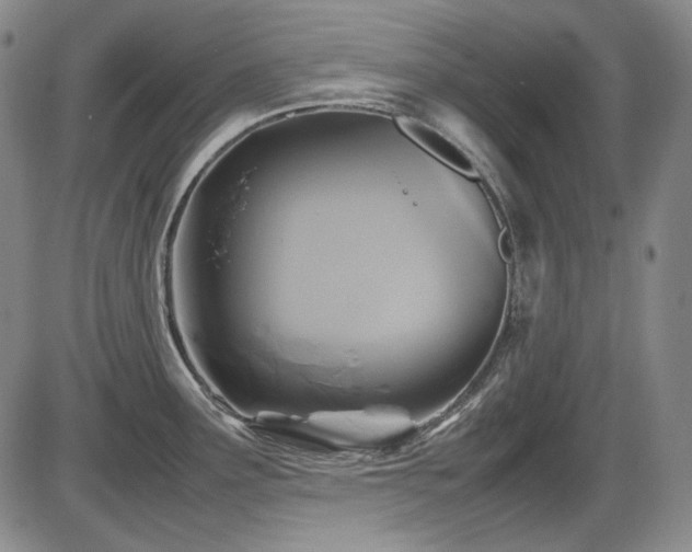 X0000086281291200703291451