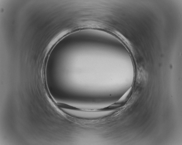 X0000086281293200703291451