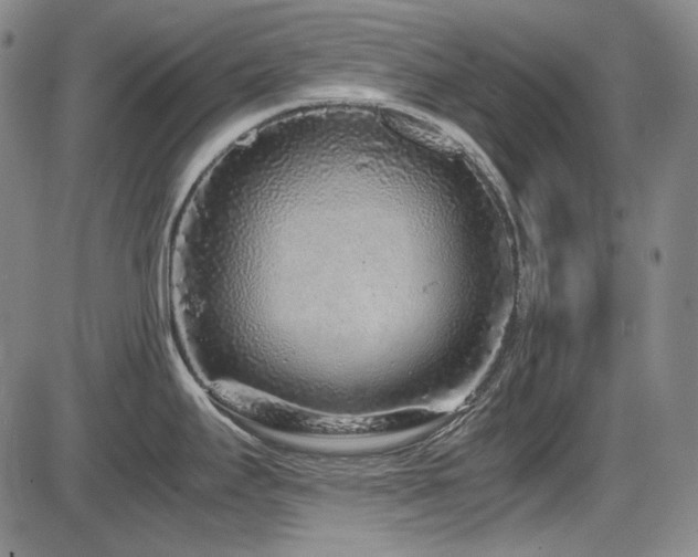 X0000086281295200703291451