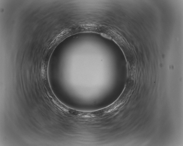 X0000086281298200703291451