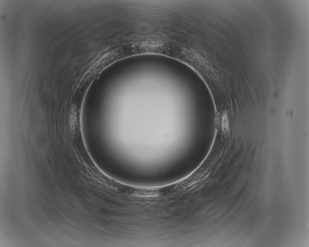 X0000086281299200703291451