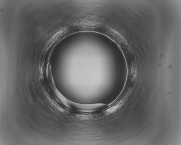 X0000086281300200703291451