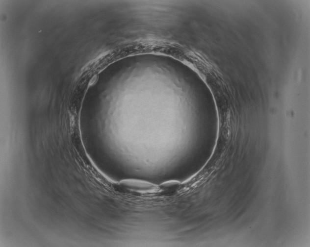X0000086281302200703291451