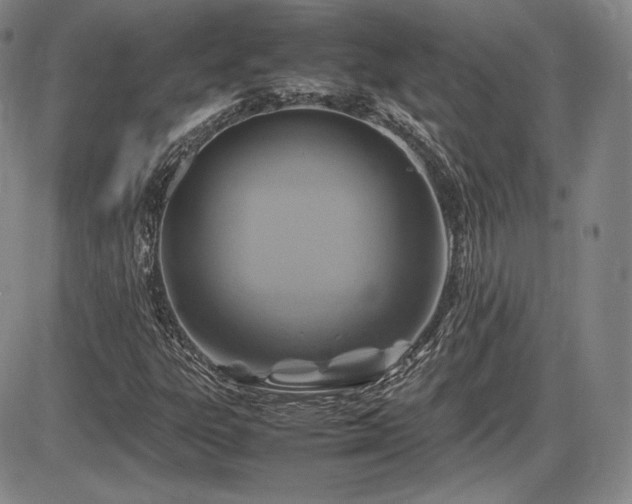 X0000086281303200703291451