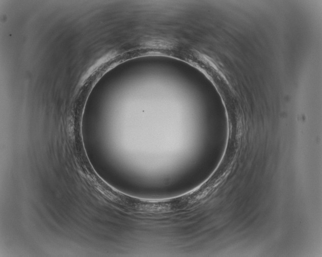 X0000086281307200703291451