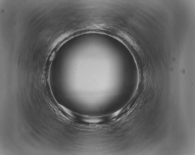X0000086281308200703291451