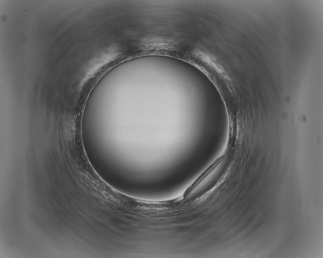 X0000086281309200703291451