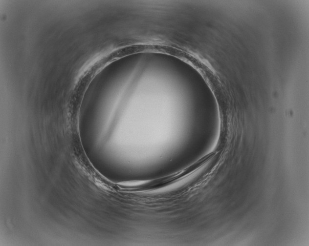 X0000086281311200703291451