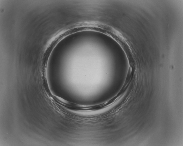 X0000086281312200703291451