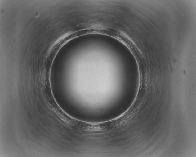 X0000086281315200703291451