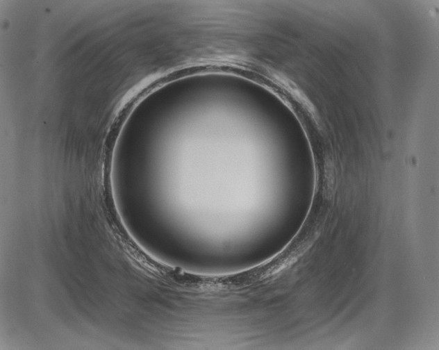 X0000086281316200703291451