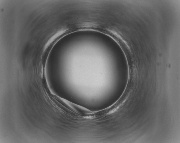 X0000086281317200703291451