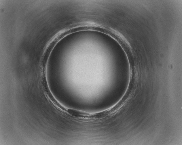 X0000086281318200703291451