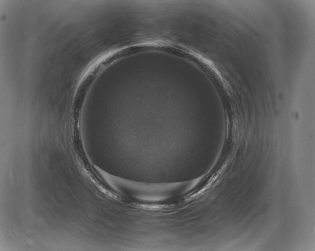 X0000086281319200703291451