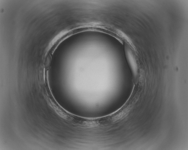 X0000086281320200703291451