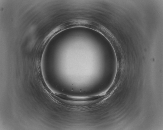 X0000086281321200703291451