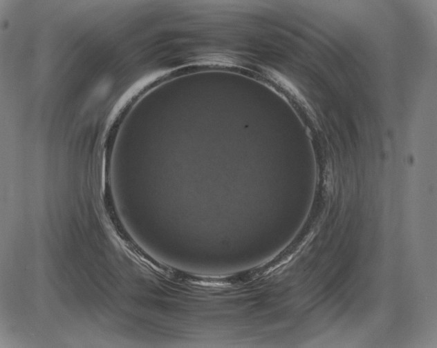 X0000086281323200703291451