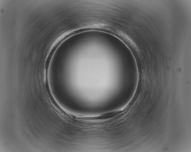 X0000086281324200703291451