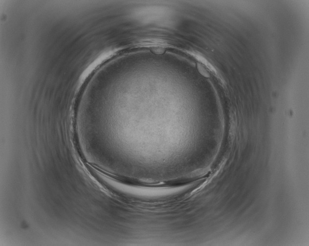 X0000086281325200703291451