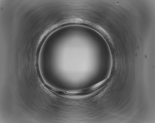 X0000086281326200703291451