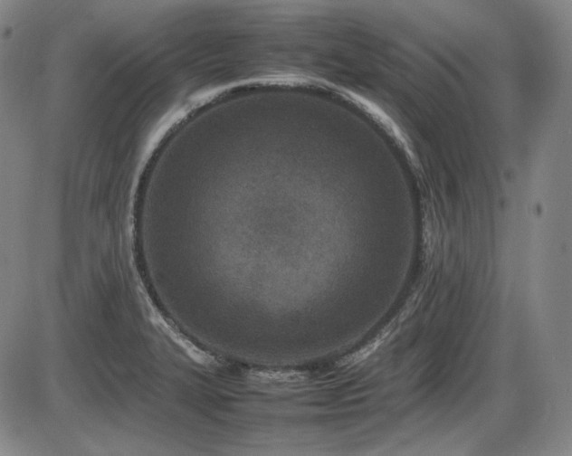X0000086281327200703291451